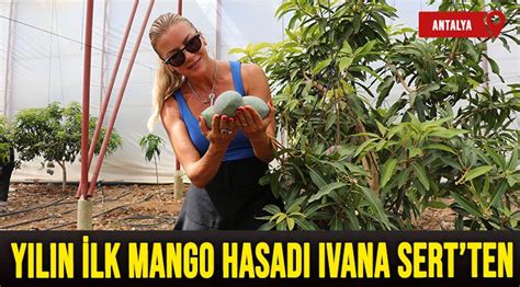 A­n­t­a­l­y­a­’­d­a­ ­y­ı­l­ı­n­ ­i­l­k­ ­m­a­n­g­o­ ­h­a­s­a­d­ı­ ­I­v­a­n­a­ ­S­e­r­t­’­t­e­n­